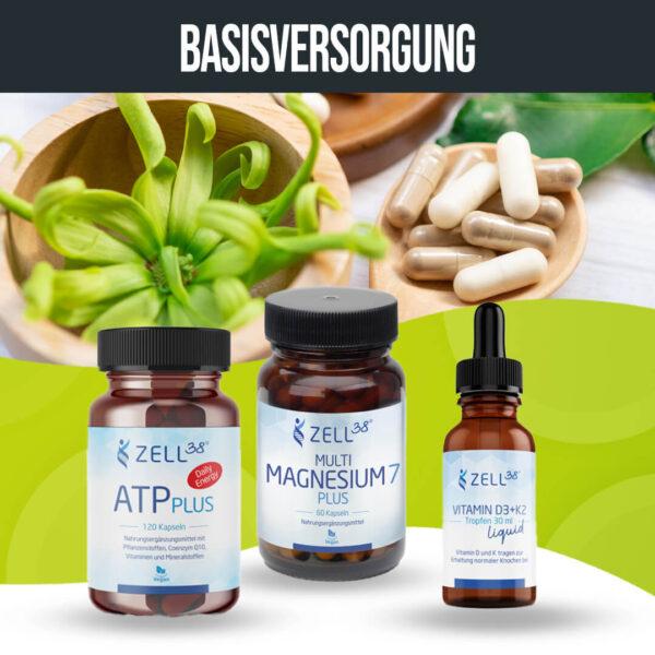 Basisversorgung – Bild 2