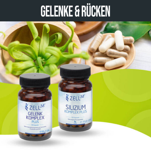 Gelenke & Rücken – Bild 2