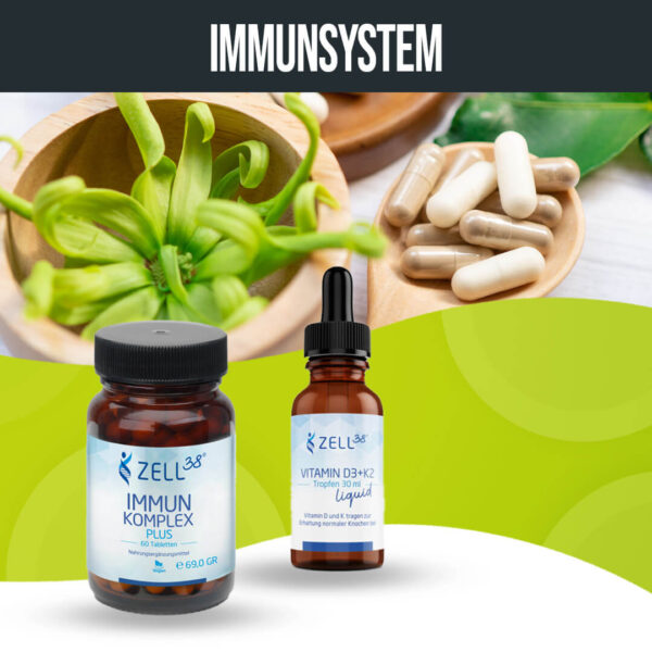 Immunsystem – Bild 2
