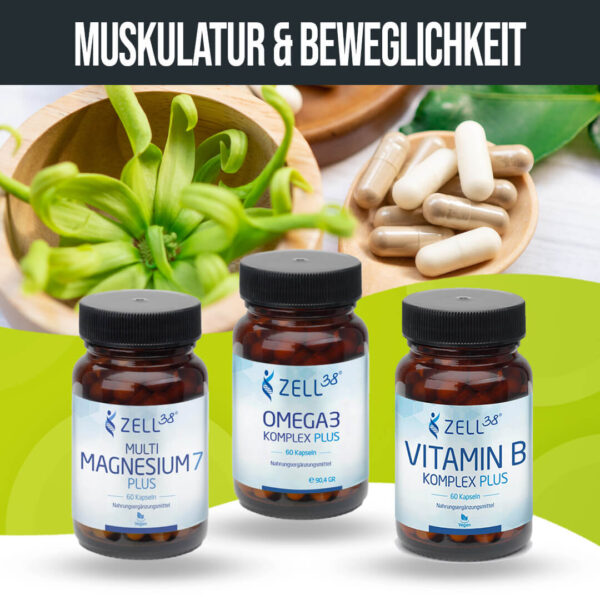 Beweglichkeit & Kräftigung Muskulatur – Bild 2