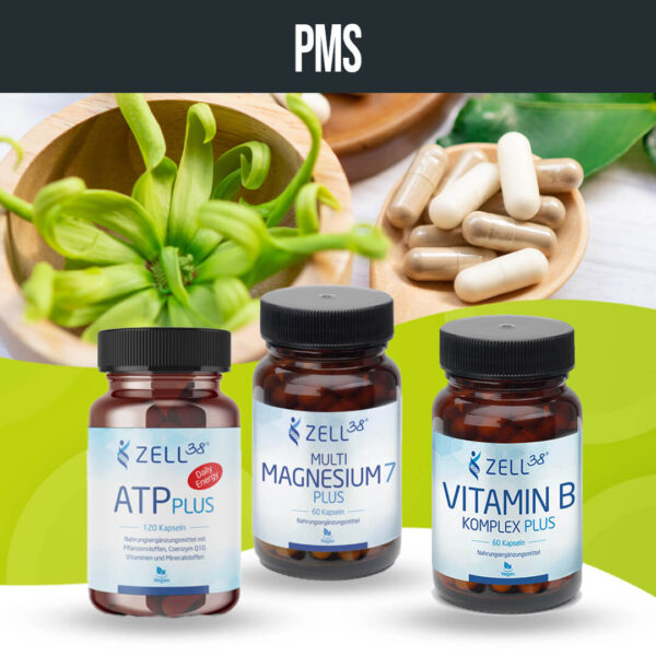 PMS – Bild 2