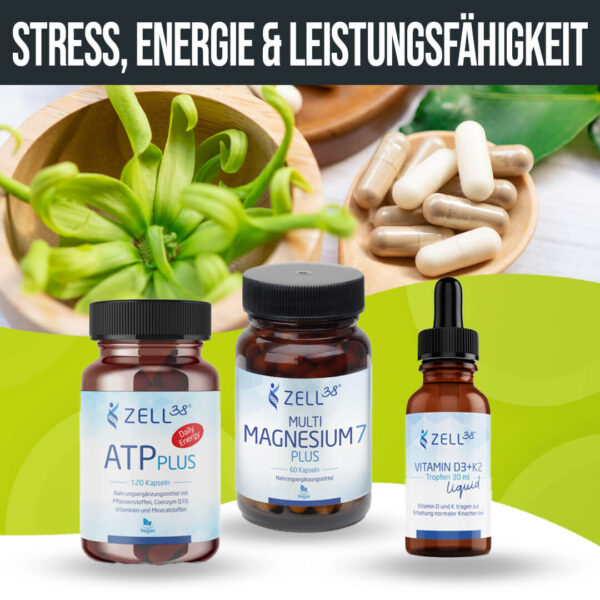 Stress, Energie und Leistungsfähigkeit – Bild 2