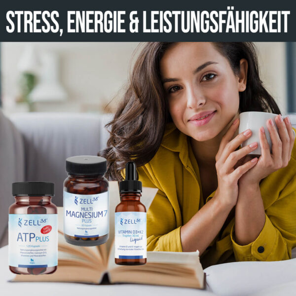 Stress, Energie und Leistungsfähigkeit