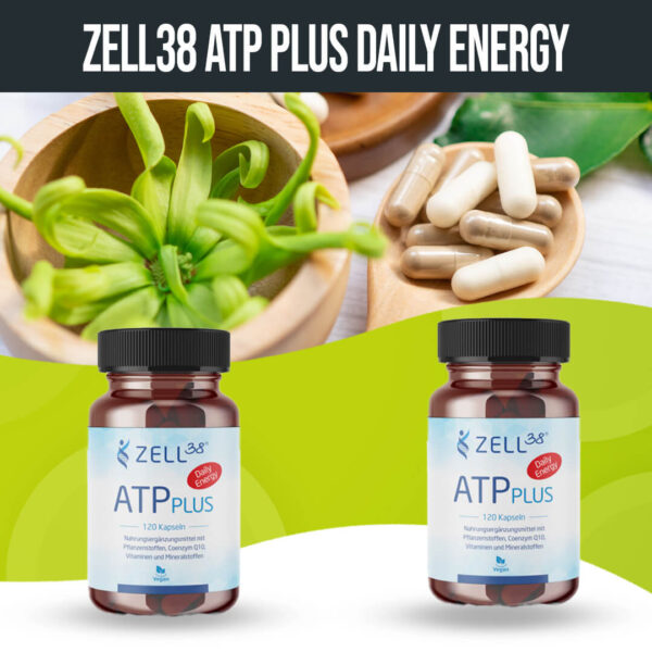 Zell38 ATPplus Daily Energy Vorteilsset