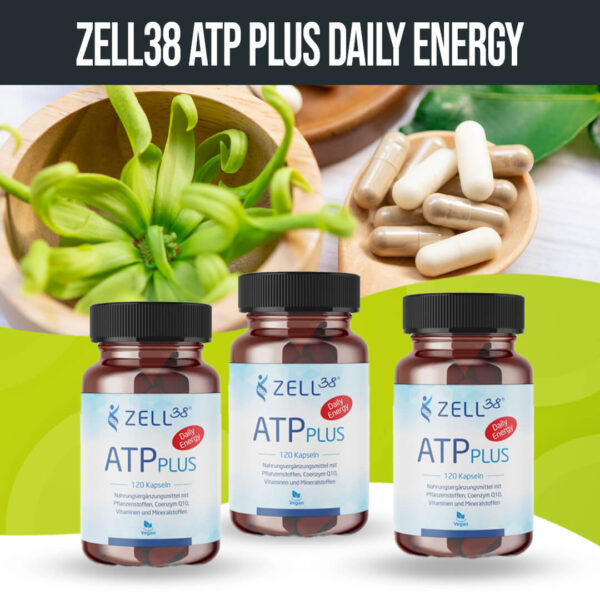Zell38 ATPplus Daily Energy Vorteilsset