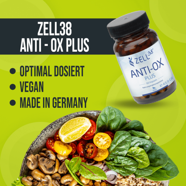 Zell38 OPC Anti Ox plus – Bild 2