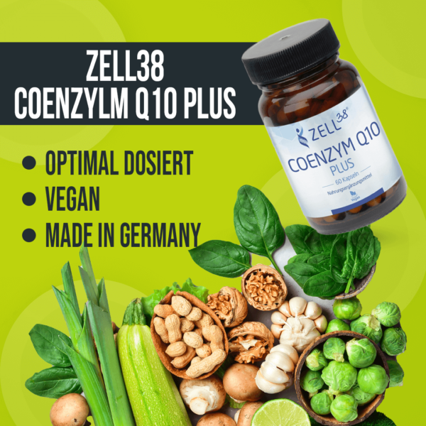 Zell38 Coenzym Q10 plus – Bild 2