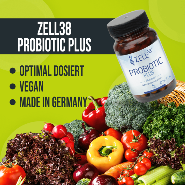 Zell38 Probiotic plus – Bild 2