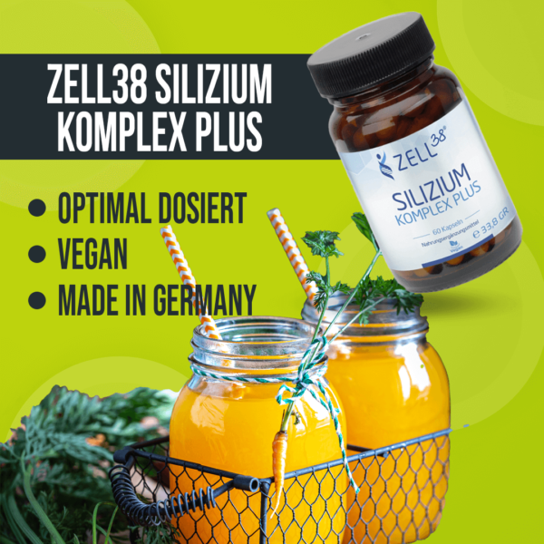 Zell38 Silizium Komplex plus – Bild 2