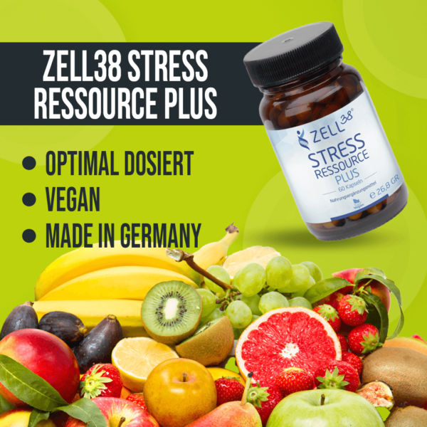 Zell38 Stress Ressource plus – Bild 2