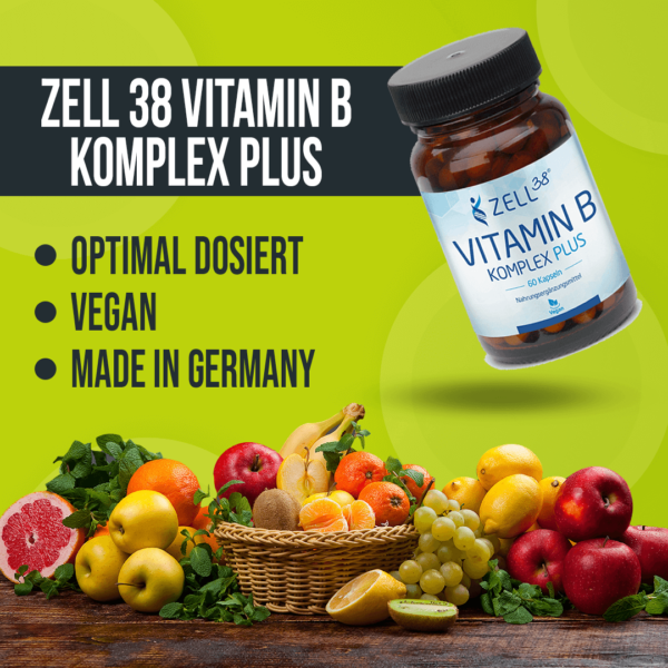 Zell38 Vitamin B Komplex plus – Bild 2