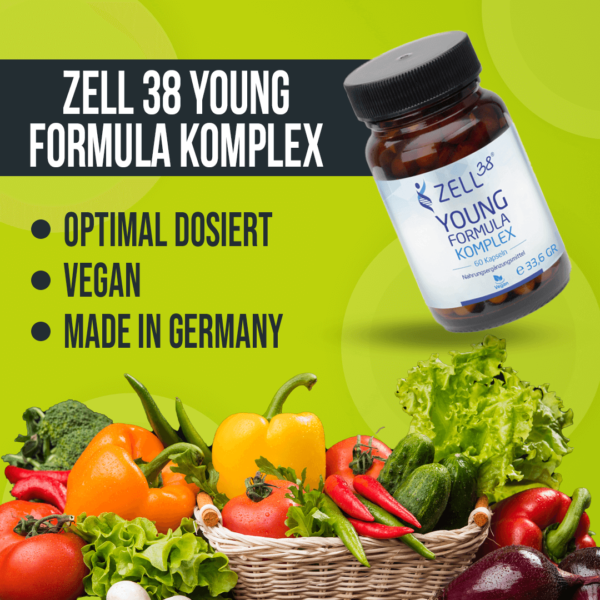 Zell38 Young Formula Komplex – Bild 2